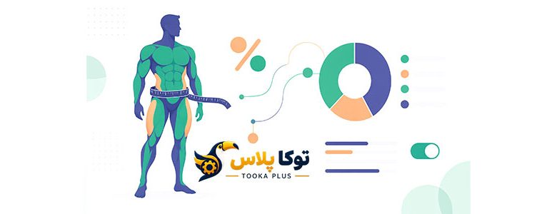 محاسبه درصد چربی بدن آنلاین | ماشین حساب Body Fat دقیق